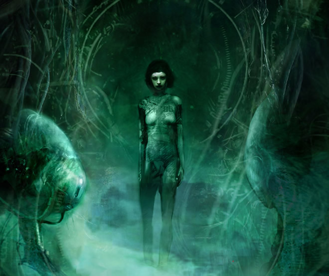 art illustrations by Christopher Shy